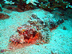 PhiPhi-073.jpg