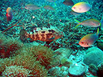 PhiPhi-075.jpg