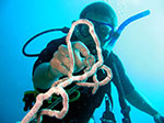 PhiPhi-082.jpg