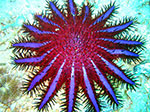 PhiPhi-083.jpg