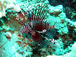 PhiPhi-086.jpg