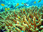 PhiPhi-087.jpg