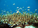 PhiPhi-090.jpg