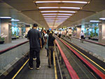 Image(908).jpg