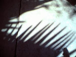 Image(922).jpg