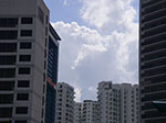 IMGP0051.jpg