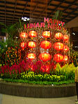 IMGP0078.jpg