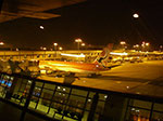 IMGP0081.jpg