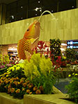 IMGP0086.jpg