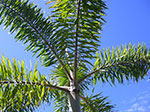 IMGP0167.jpg