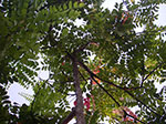 IMGP0215.jpg