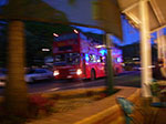 IMGP0231.jpg