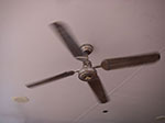 IMGP0262.jpg