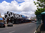 IMGP0283.jpg