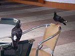 IMGP0284.jpg