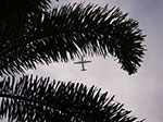IMGP0299.jpg