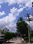 IMGP0339.jpg