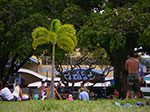 IMGP0445.jpg