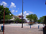 IMGP0458.jpg