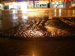 IMGP0461.jpg
