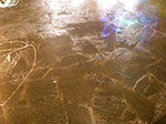 IMGP0463.jpg