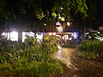 IMGP0464.jpg