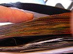 Photos