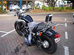IMGP0495.jpg