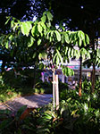 IMGP0498.jpg