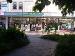 IMGP0501.jpg