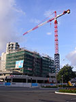 IMGP0507.jpg