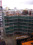 IMGP0511.jpg