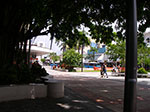 IMGP0605.jpg