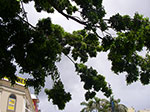 IMGP0607.jpg