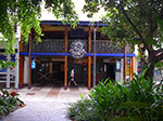 IMGP0608.jpg