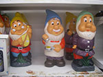 IMGP0629.jpg
