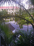 IMGP0682.jpg