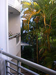 IMGP0692.jpg