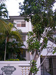 IMGP0722.jpg
