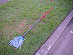 IMGP0723.jpg