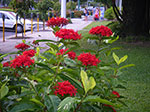IMGP0759.jpg