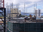 IMGP0791.jpg