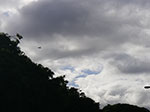 IMGP0813.jpg