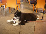 IMGP0993.jpg