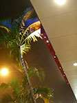 IMGP1013.jpg