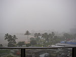 IMGP1019.jpg