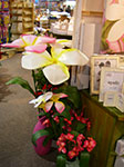IMGP1039.jpg