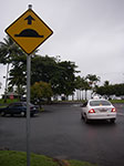 IMGP1096.jpg
