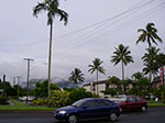 IMGP1097.jpg