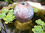 IMGP1101.jpg